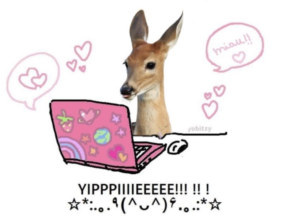 deer on computer saying yippeeee
